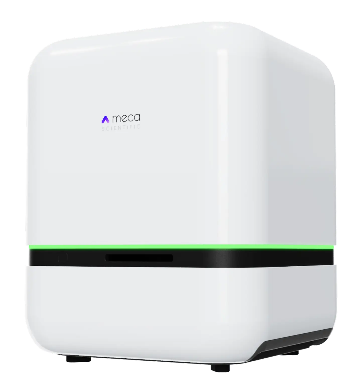 PanoBrain automated brain slice analyzer