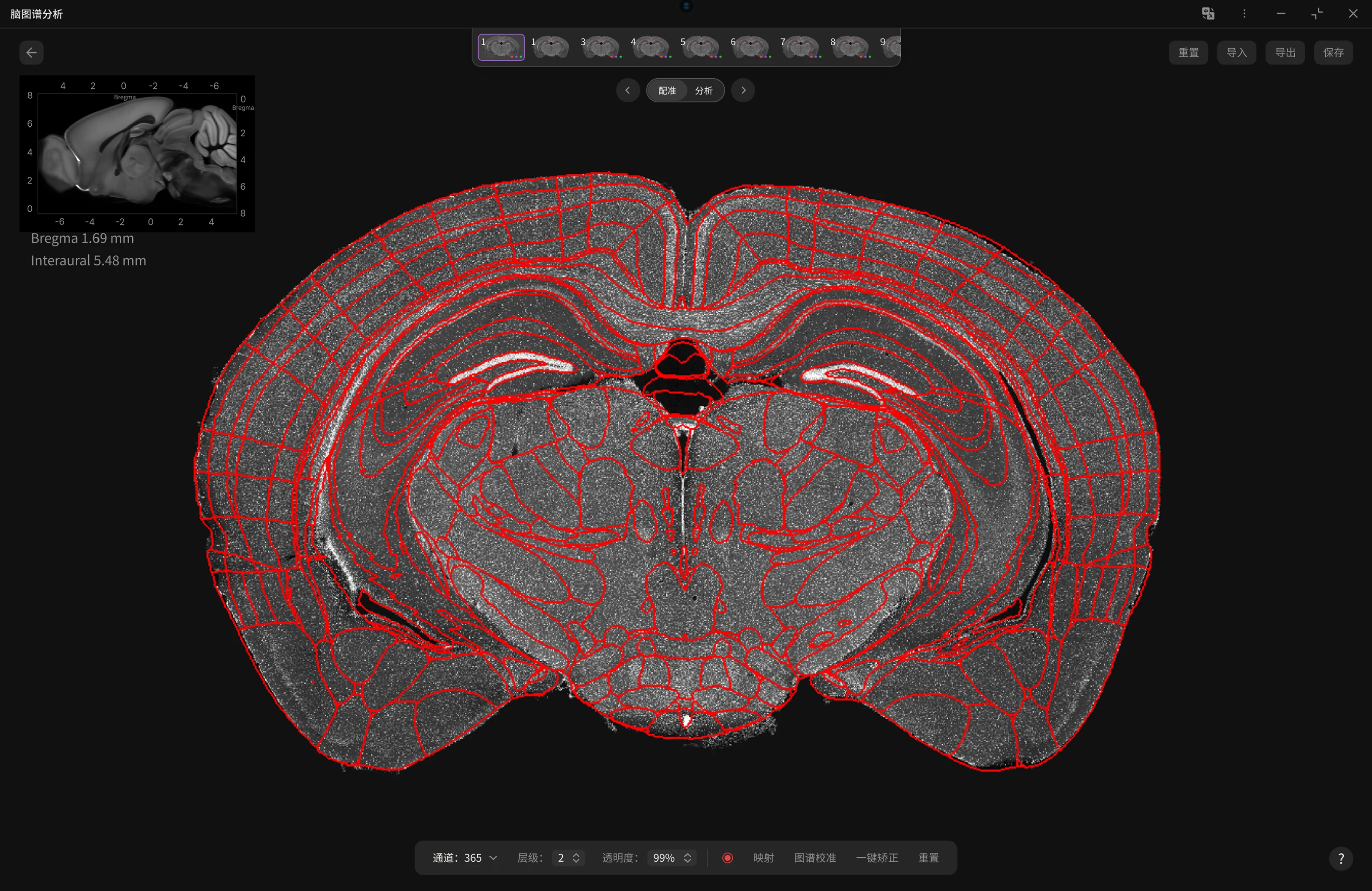 Panolyzer analysis software showing brain atlas overlay with region boundaries